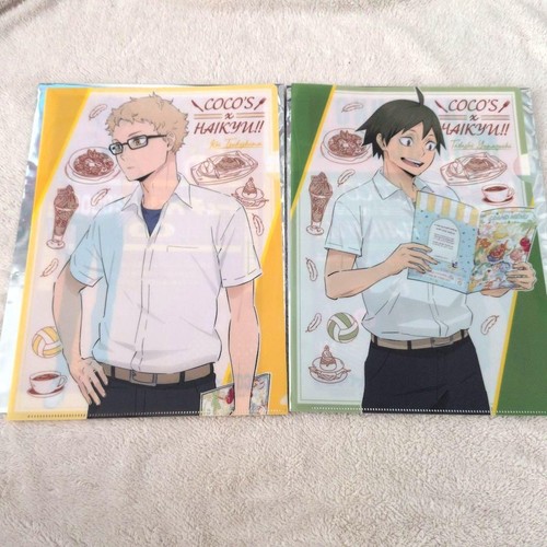 Shoyo hinata kageyama - shoyo, file