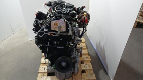 Ztje motore ford - ztje, puma