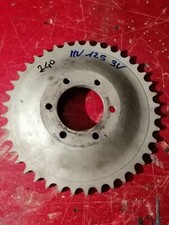 Corona trasmissione Mv Agusta