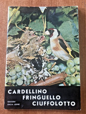 Cardellino fringuello - cardellino,