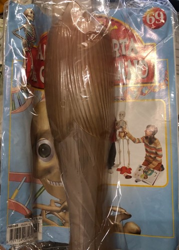 Alla scoperta del corpo umano