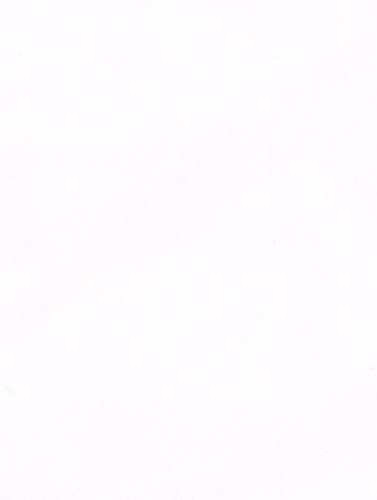 Tovaglia pvc uni - bianca, 0