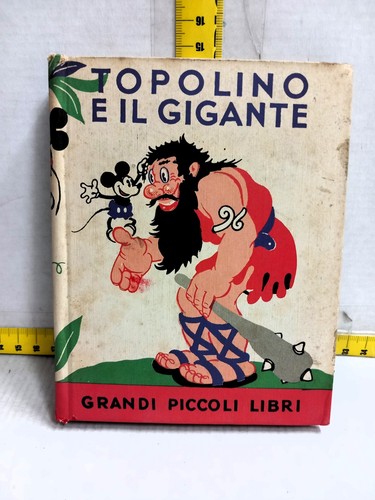 Grandi piccoli libri - libri,