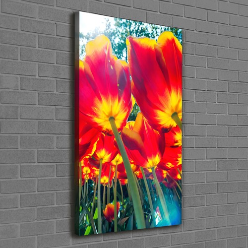 Tulup dipinto tela pittura - dipinto,