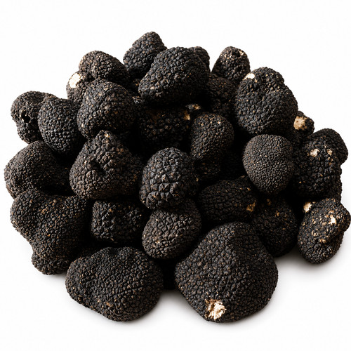 Tartufo nero estivo - nero,