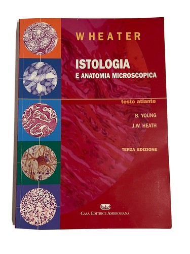 Istologia anatomia - istologia, e
