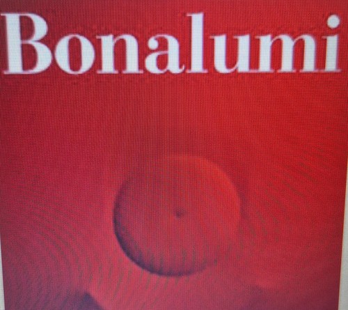 Agostino bonalumi catalogo - agostino,