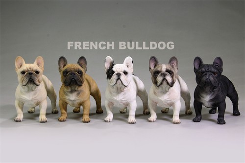 Jxk stand bulldog francese pet - bulldog,
