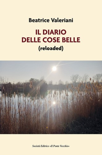 Diario delle cose belle - il,