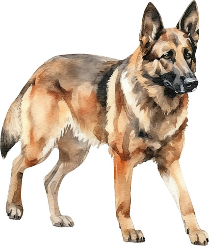 Adesivi auto cane - cane, pastore