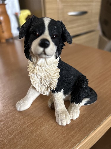 Country artist border collie - artist,