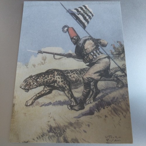 Cartolina xvii battaglione - xvii,