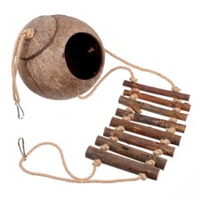 Geco Cocco Nascondi Rettile