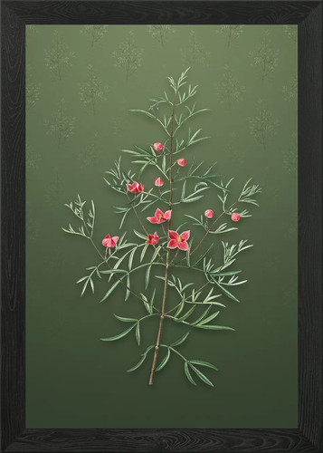 Quadro stampa tela poster - tela,