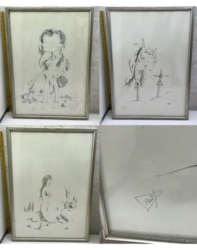 Lotto disegni alberto - lotto,