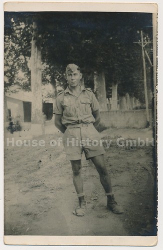 132681 ritratto foto luftwaffe - foto,