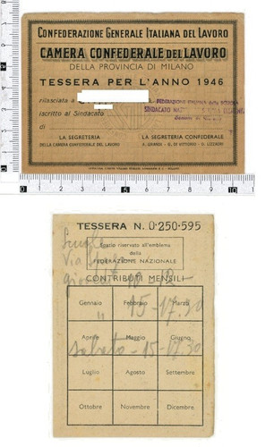 Tessera della l camera - tessera,