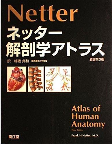 Atlante anatomia netter - anatomia,