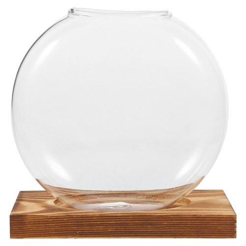 Terrario vaso idrocoltura - vaso,