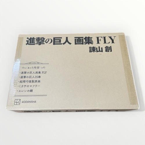 Attack titan fly - on,