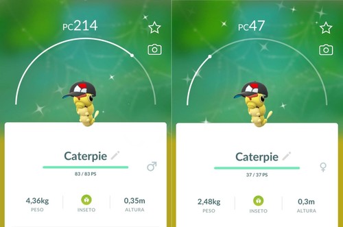 Costume cappello nero - cappello, caterpie