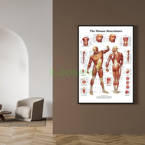 Poster parete senza cornice - poster, da