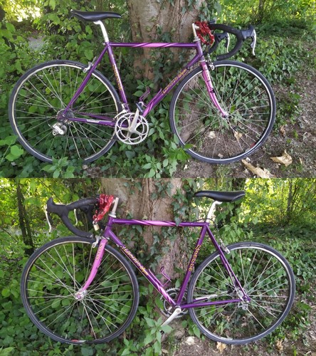Bicicletta corsa anni - bicicletta,