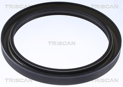 Paraolio triscan lato cambio - triscan,,