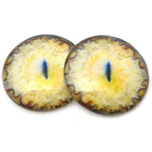 Coppia sfynx giallo gatto - giallo,
