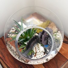  Ruota Idraulica Del Serbatoio Di Pesce Piccolo Ponte Da Giardino