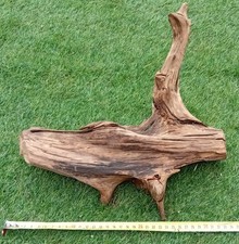 Legno africano per - , decorazione