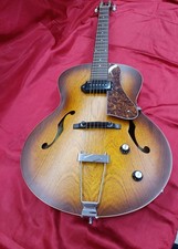 Chitarra elettrica acustica