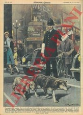 MOLINO W. - Cane semicieco va a passeggio con un cane cieco tenendo tra i denti