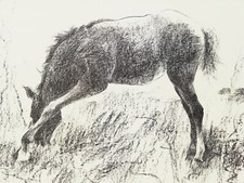 IMELDE SIVIERO: Litografia