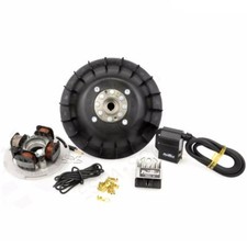 ACCENSIONE VESPA PX 125 150 200 VARIABILE PINASCO FLYTECH 25356832 KG. 1,6