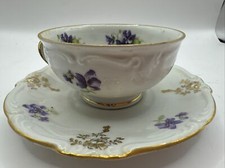 Winterling Bavaria Germania