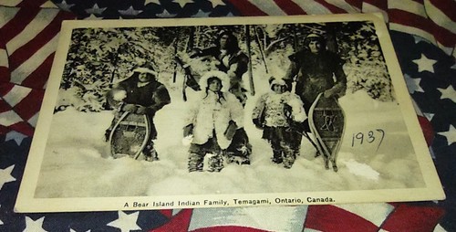 Raro rppc bear - raro,