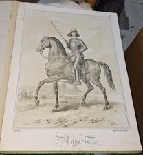 disegni Tavole E Stemmi Della