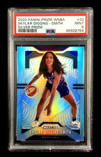 Pop 28 PSA 9 (2 Higher) Skylar