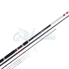 Canna colmic dorada - canna,
