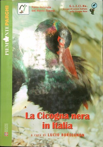 Cicogna nera italia - cicogna,