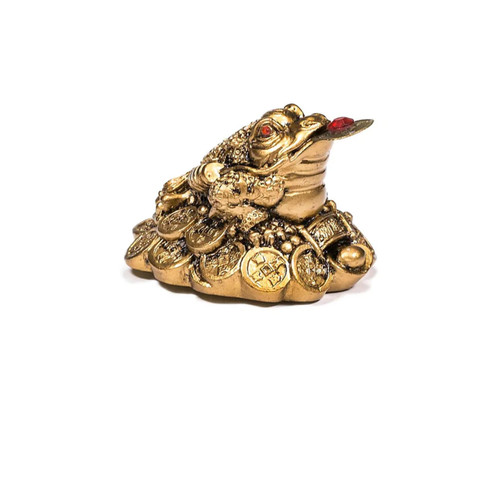 Rana porta fortuna - rana,