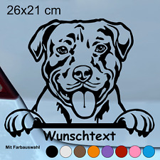 Adesivo auto American Pitbull