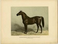 Rara stampa