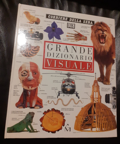 Grande dizionario visuale - visuale,
