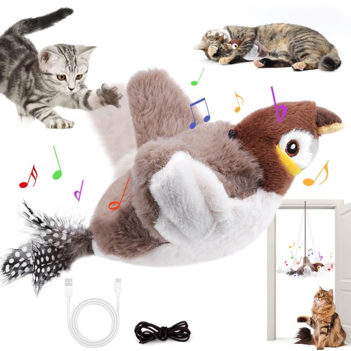 Oiseau pour chat - oiseau,