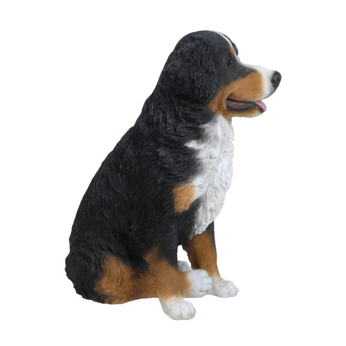 Cane montagna bernese - da,