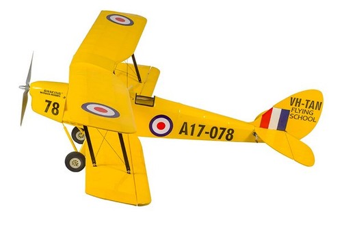 Dwh scg39 tiger moth artf - dwh,