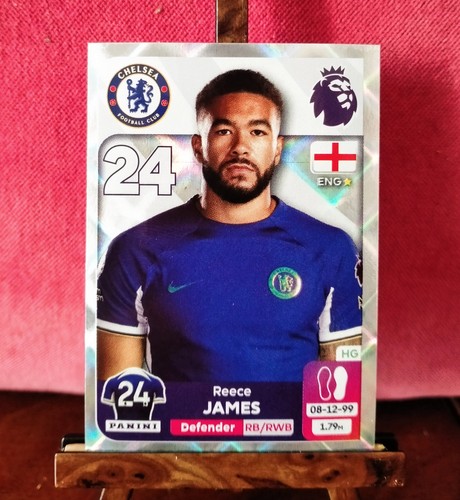 Panini premier league 2024 - premier,