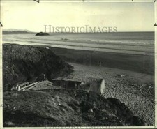 1979 Foto Stampa Parco